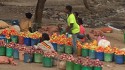 Tradecorp Europa, partner del proyecto “Semillas para Alimentar Etiopía”