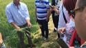 Clientes de Rumanía participan en diferentes visitas de campo en Italia