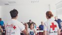 Más de 50 personas del equipo de Tradecorp en España participan en una jornada de RSC con Cruz Roja